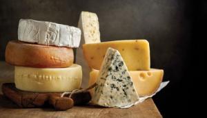 Food Industry Development Autumn Training Courses