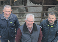 ‘Once you look after the heifer, calving at two years of age will work’