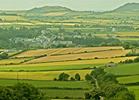 Glamping, milk vending and self-catering ventures key focus of upcoming webinar series