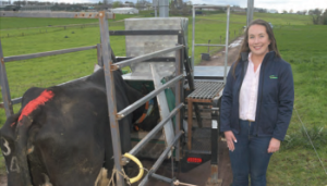 Enteric methane – facts and solutions