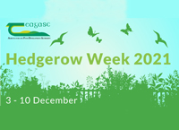 The state of Ireland’s hedgerows