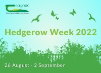 Hedgerow Week 2022 – “Best Practice Hedge Cutting”