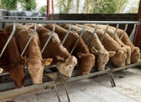 Time to think about becoming an organic farmer?