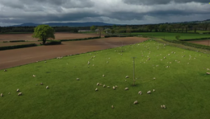 Tillage and sheep farmer to host first Growing Organics farm walk