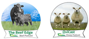 Listen: The benefits of reseeding this spring