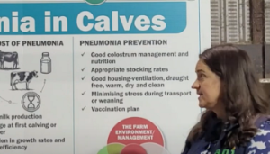 Pneumonia – minimising the risk