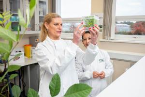 Minister Hackett launches Teagasc-led project to help safeguard the future of Ireland’s ash trees