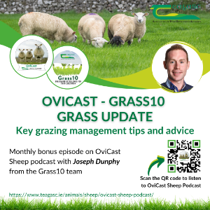 Grass10 update for sheep farmers