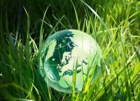 Teagasc Research Impact Highlights in 2021
