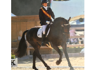 Meet Sarah – an ISH young breeder