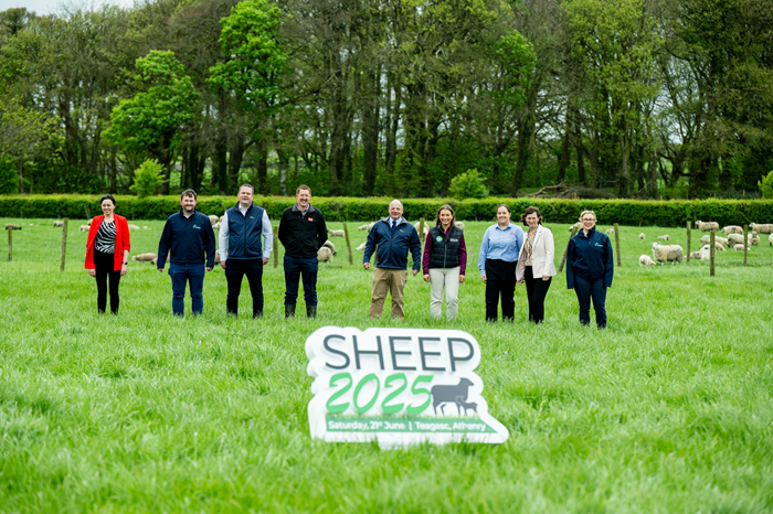 Pictured at the launch of Sheep 2025 are from left to right: Margaret O Donovan, Teagasc; Sean Godfrey, Sheep Ireland; Philip Creighton, Teagasc Sheep Enterprise Leader; Darren Carty, Irish Farmers Journal; Michael Gottstein, Head of Sheep Knowledge Transfer in Teagasc; Shauna Jager, Bord Bia; Lauren Nolan, Irish Country Meats; Sharon Walshe, Department of Agriculture, Food and the Marine; and ; J