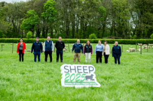 Hill sheep focus at Sheep 2025 Open Day