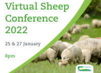 Virtual Sheep Conference 2022 – Session 2