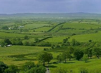 Positive farm price developments signal boost to farm incomes in 2021
