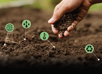 Soil, Forests and Biochar