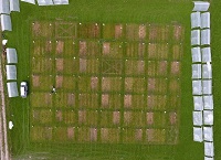 Why farm soils cause greenhouse gas emissions – and how to fix it