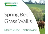 Spring Beef Grass Walks 2022