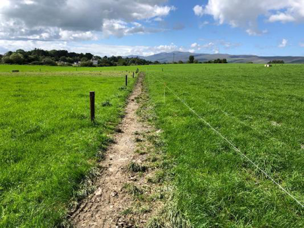 Cover image for What impact can a spur roadway have on your farm? article
