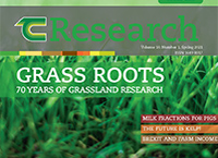 TResearch Spring 2021