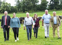 Teagasc launch new guide: Reducing lameness in Irish dairy herds