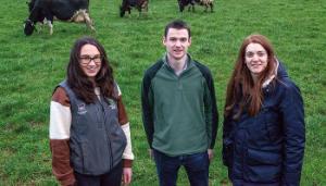 Playing a crucial role in the environmental and economic success of dairy, beef and sheep