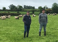 Lambing review and planning ahead in the South East