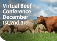 Virtual Beef Conference 2020 – Day 3: Irish grass fed beef