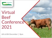 National Beef Conference 2021