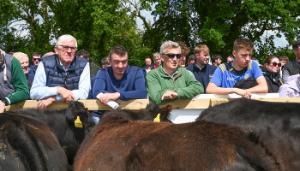 Target of €50 profit per hour worked at Tipperary Dairy Calf to Beef Demo Farm