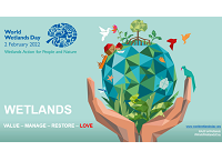 Teagasc celebrates World Wetlands Day 2022