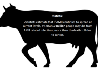Antimicrobial resistance Teagasc Leaflet