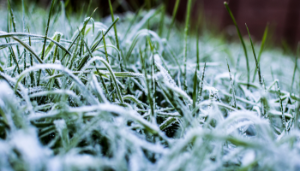 Stay safe during cold weather