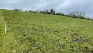 Future Beef Update: Moving from challenging grazing conditions to a surplus position