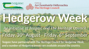 Hedgerow Flora