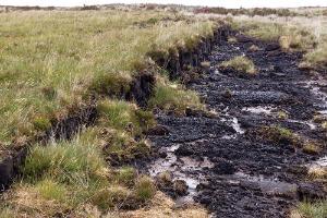 Refining emissions from grassland peat soils