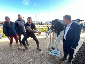 New livestock simulators launched at National Ploughing Championships