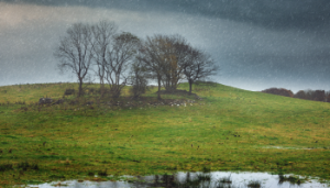 Maintaining positive wellbeing during this challenging spring weather