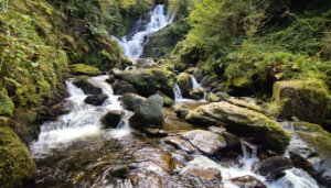 Water Quality is an issue too important to ignore