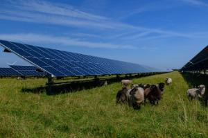 Harvesting renewable energy with SRESS
