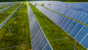 Exploring Farm Diversification: Renewable Energy