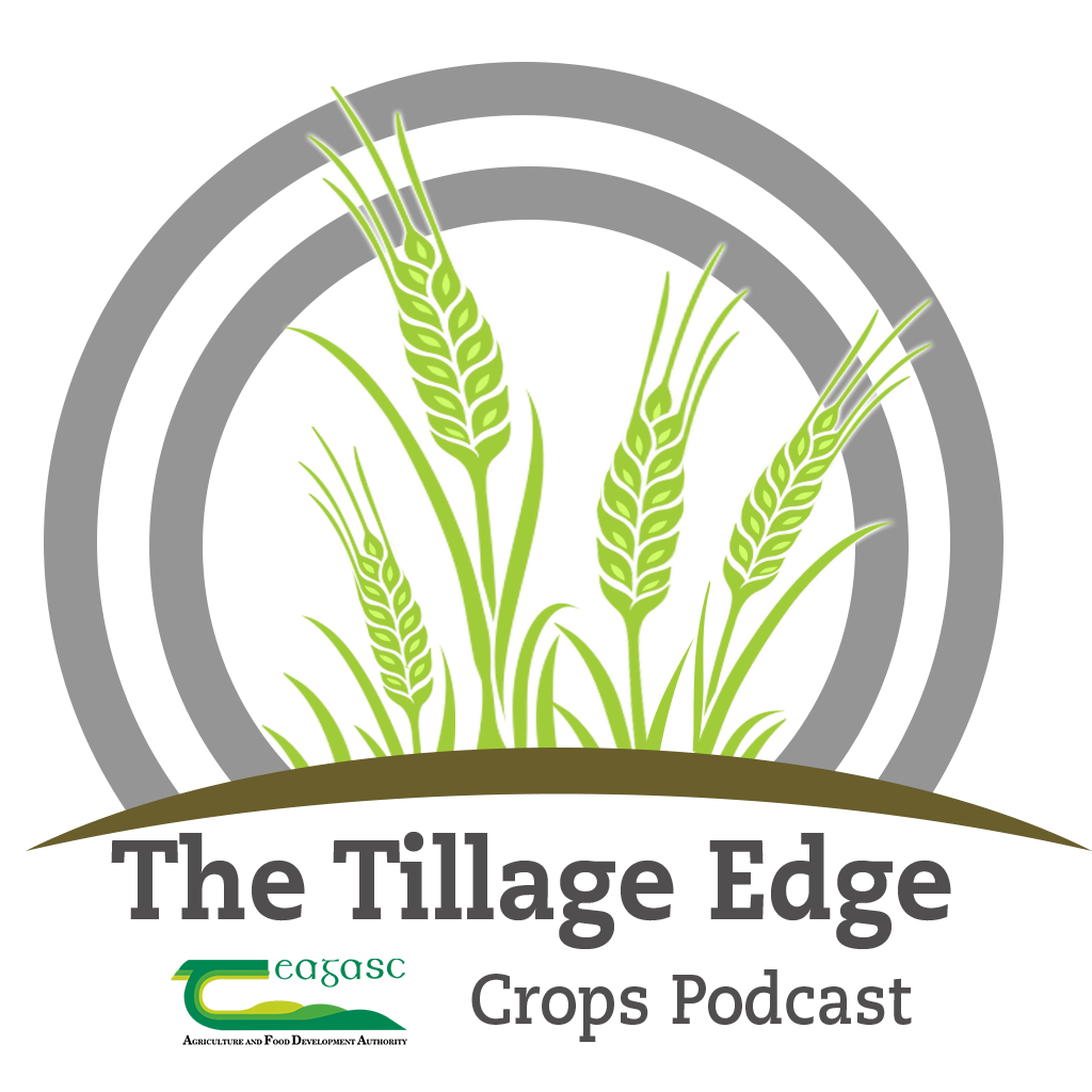 A view of current UK agricultural policies with Andy Mahon, a Dubliner farming in the UK