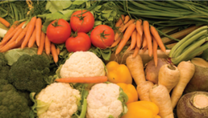 Exploring Farm Diversification: Allotment Rentals