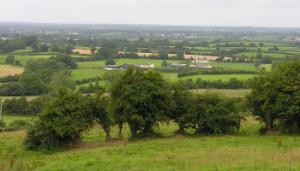 Is rural Ireland really dying? What the facts and figures tell us
