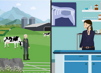 Launch of Co-designed Tools to support Farm Animal Surveillance, Welfare and Biosecurity