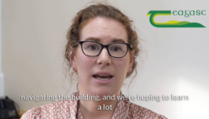 Watch: Teagasc Pig Research Farm Update December 2023