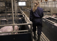 Florence Viard, PhD Student Pig Development Dept