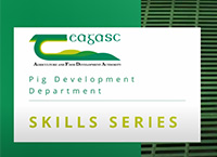 Teagasc Pig Development Department Skills Series – Ear Tagging