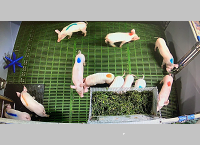 Cleaning liquid feed mix tanks