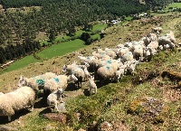 Split system developed in the Wicklow hills
