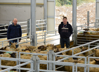 Planning winter housing facilities for sheep